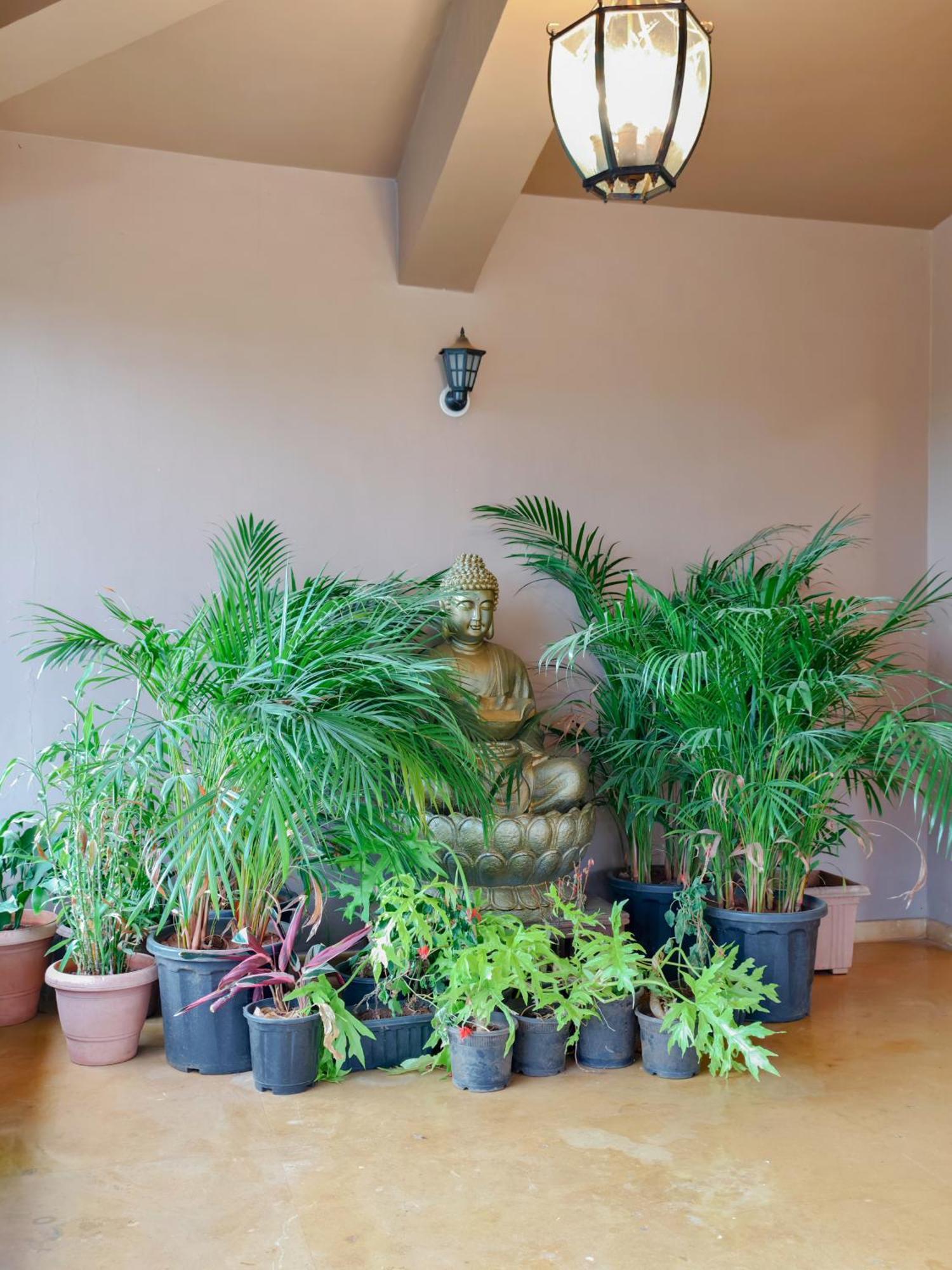 White Stallion Villa Lonavala Exterior photo